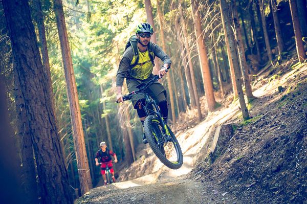 Biker Sprung Wald Sonne