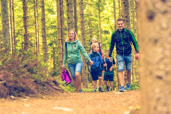Wald Familie Wanderausflug