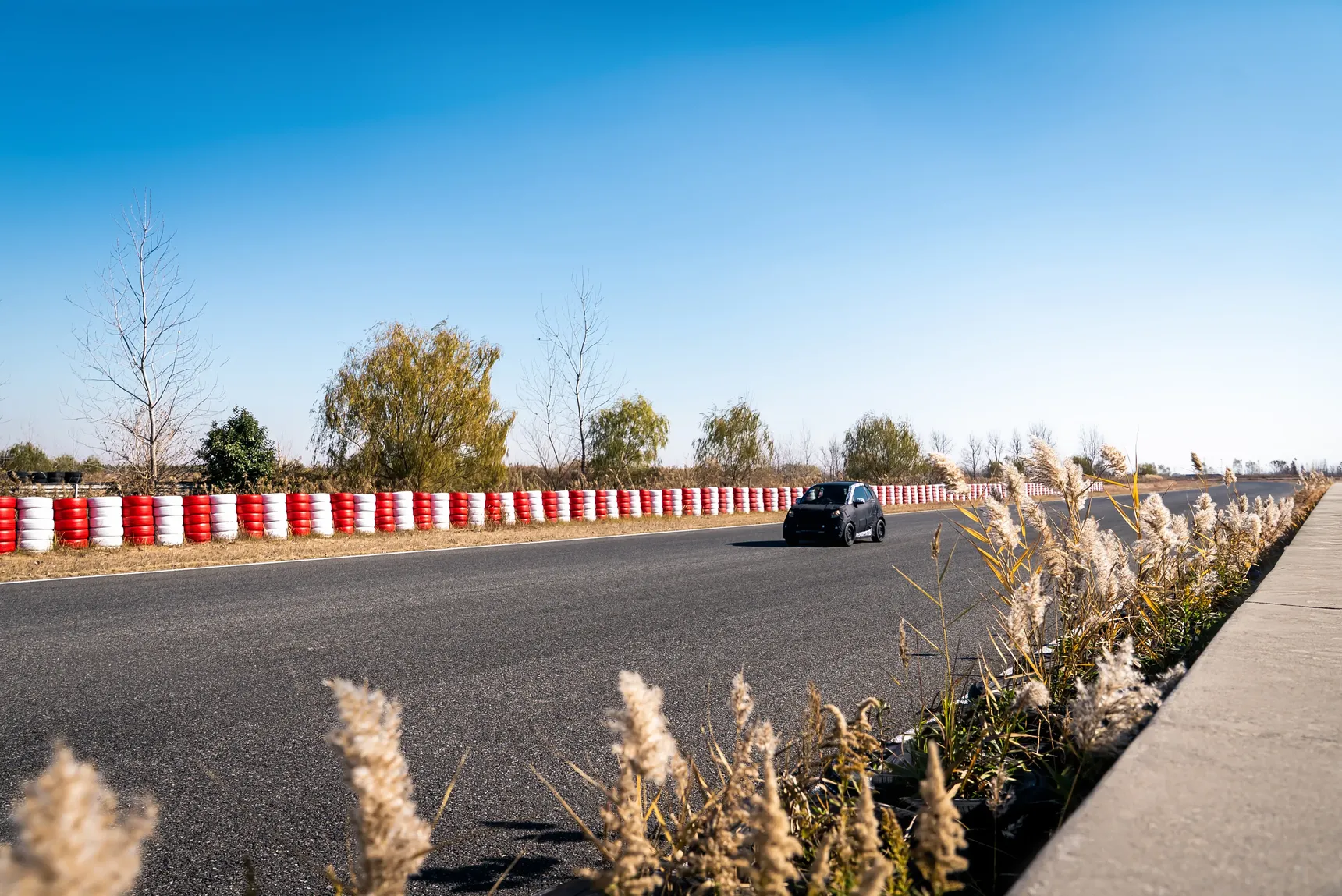 2026_all-electric_smart#2