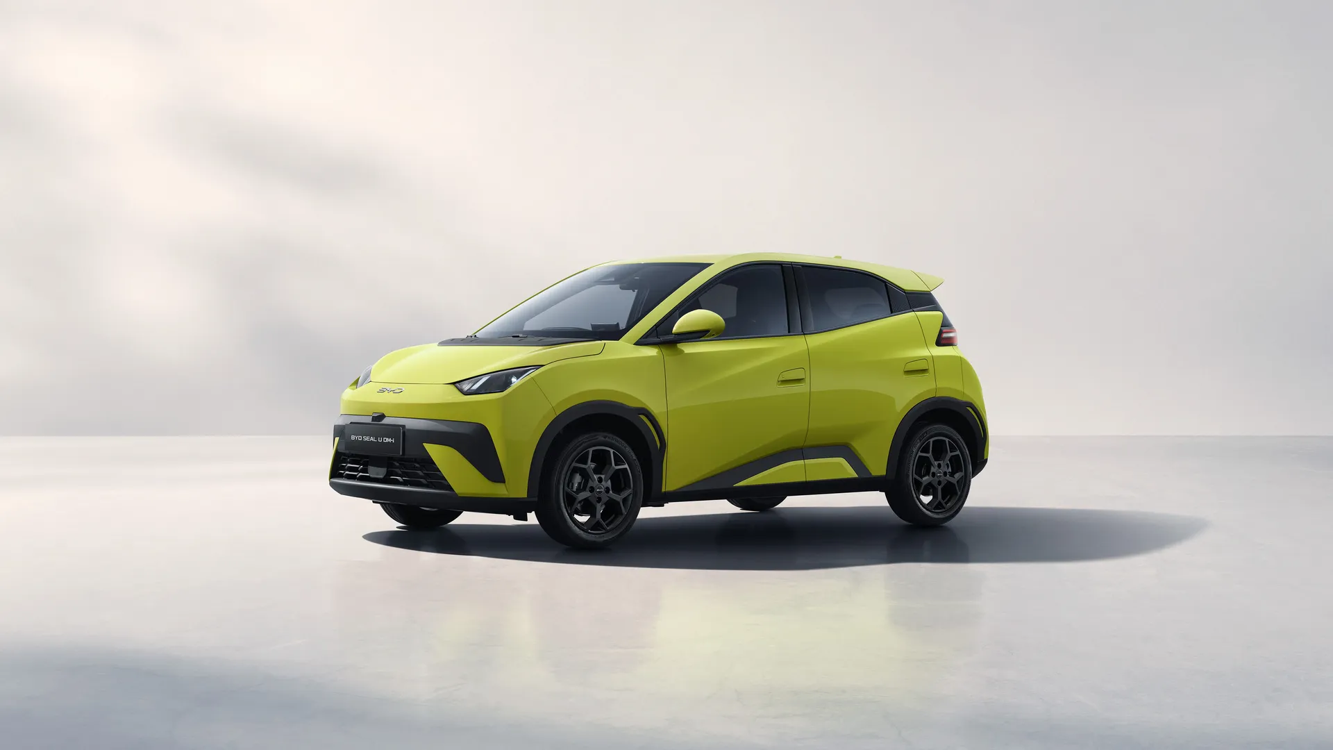 BYD DOLPHIN SURF