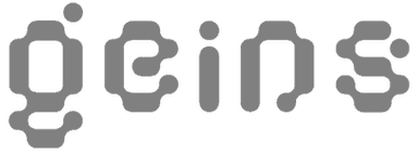 Geins logo