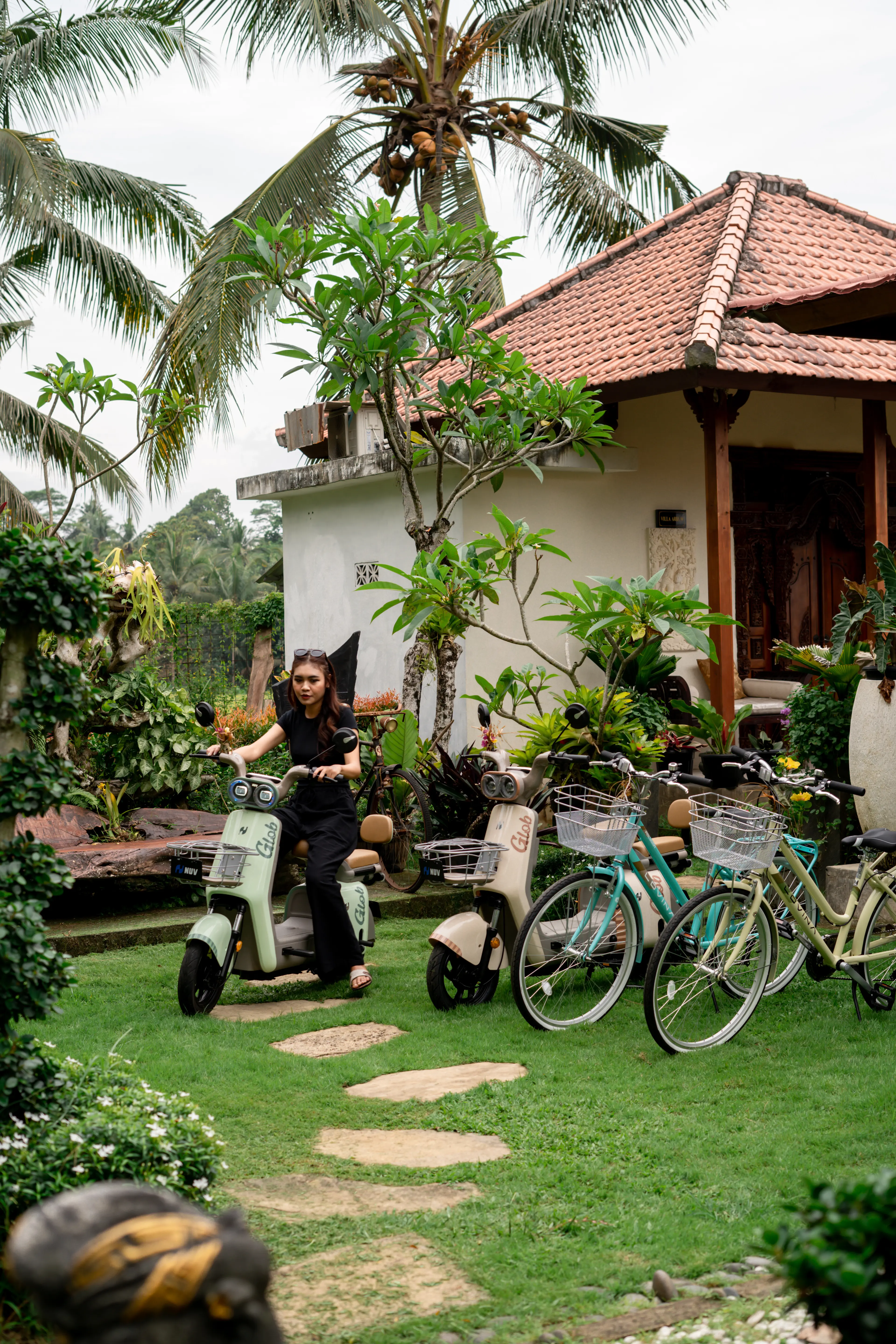 Portfolio Image