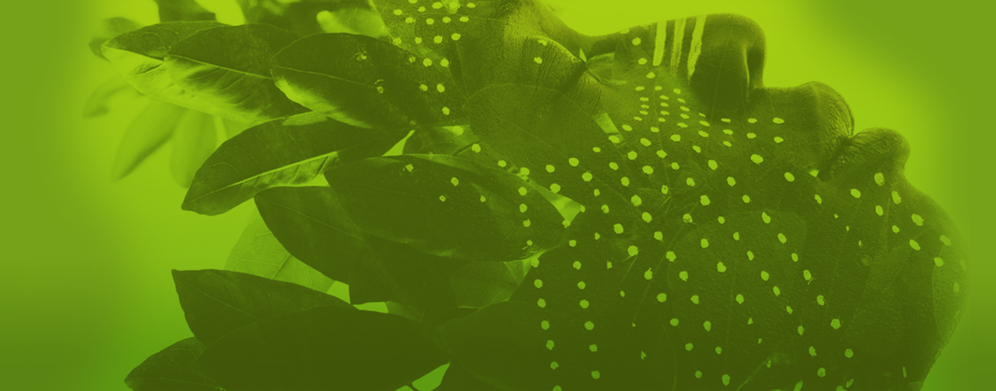 #1. Introducing ‘Behavioural Bytes’ 