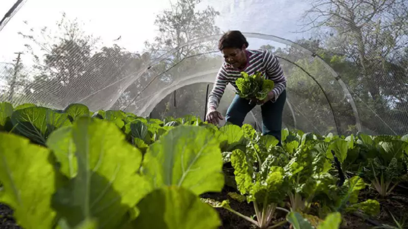 Reducing food waste at the source.