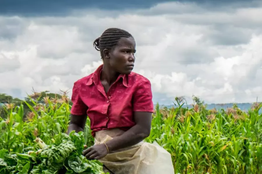 Reducing food waste at the source.