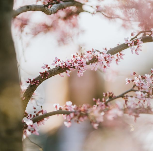 I Attempted Suicide: How My Spirituality Saved Me