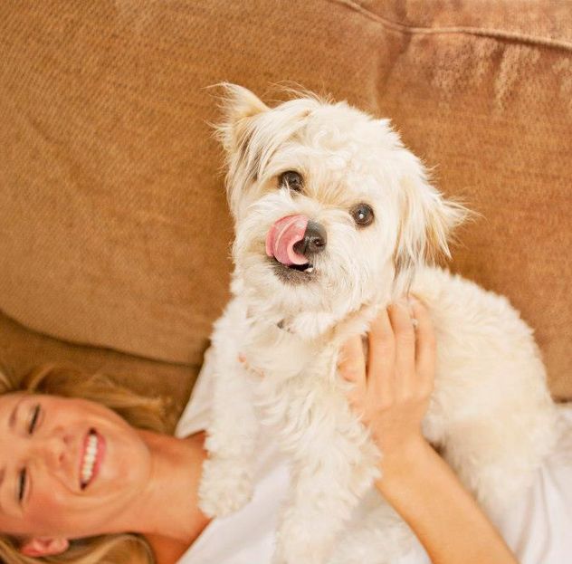 National Love Your Pet Day