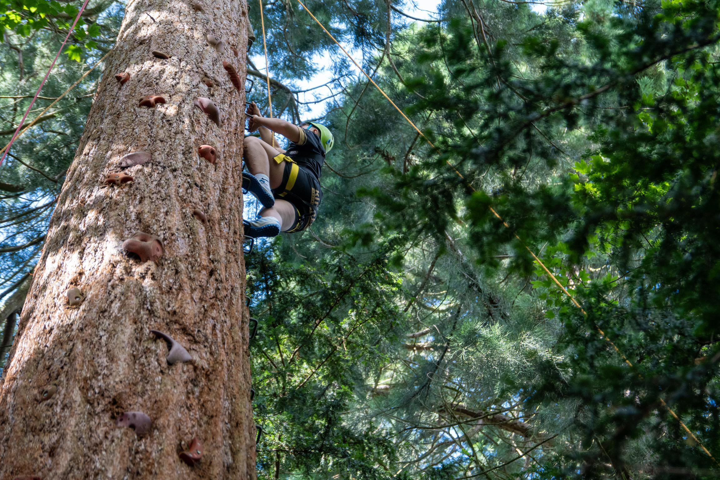 kid conquering a high ropes course