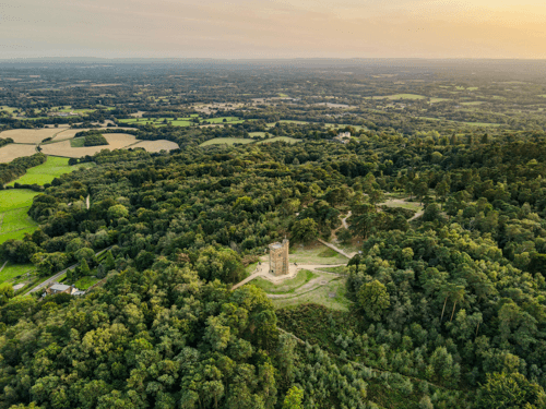 Guildford & Surrey
