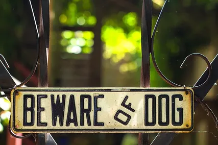 Close-up of a "Beware of Dog" sign on a metal gate, with blurred greenery in the background.