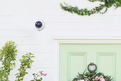 A mint green door with a floral wreath, surrounded by plants, under a security camera on a white wall with ivy.