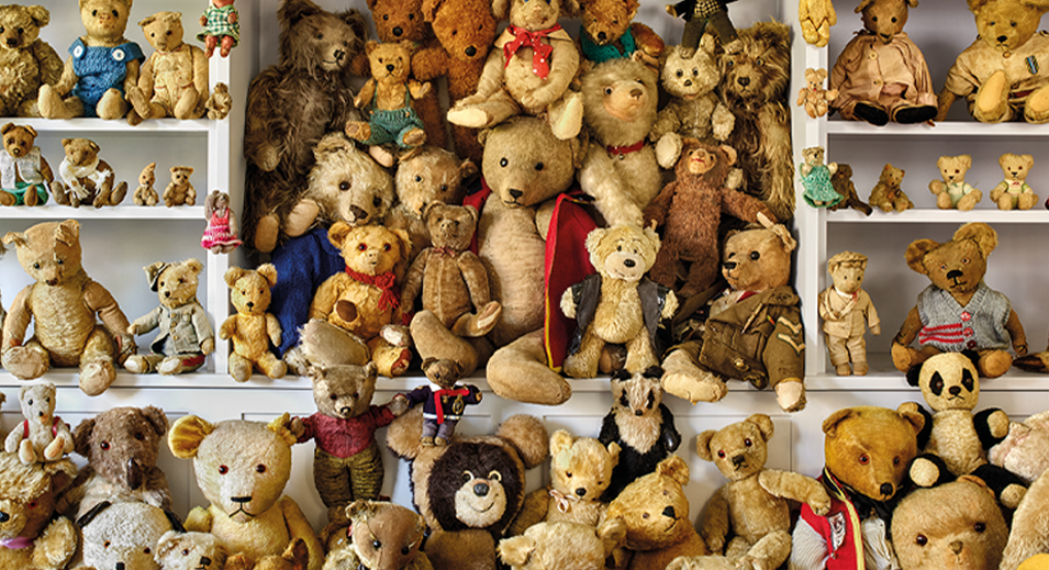 Protect What You Cherish: The Joy of Collecting
