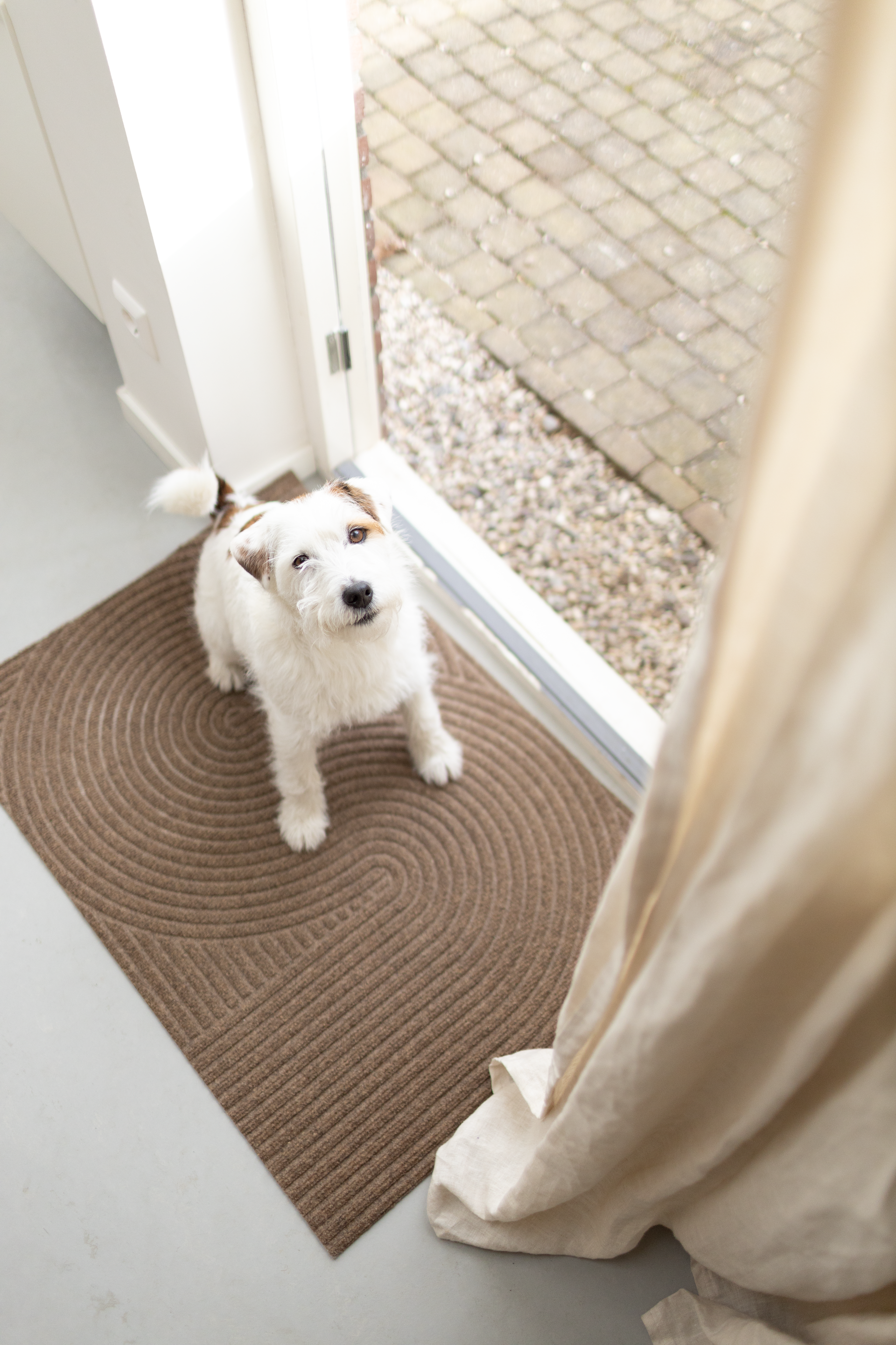 The One Thing Missing from Most Dog-Friendly Entryways