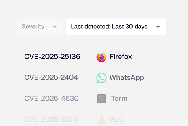 Vulnerabilities View