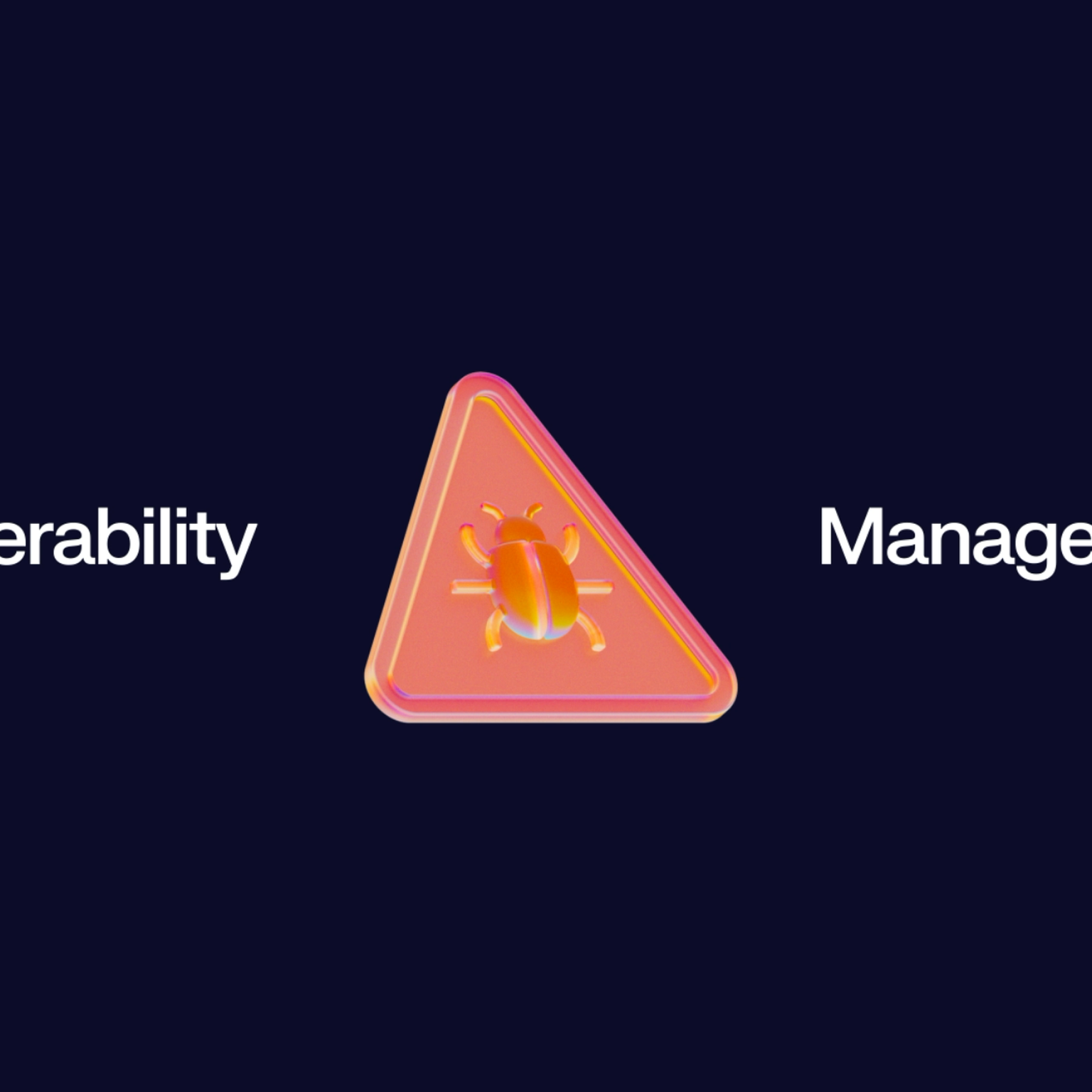 A triangular warning sign with a bug icon between the words "Vulnerability" and "Management" on a dark background.
