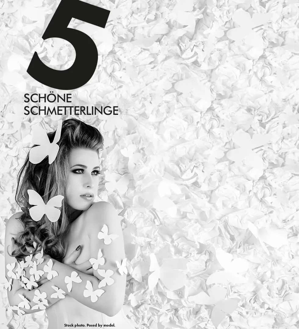 Schöne Schmetterlinge