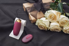 Sexspielzeug für Anfänger