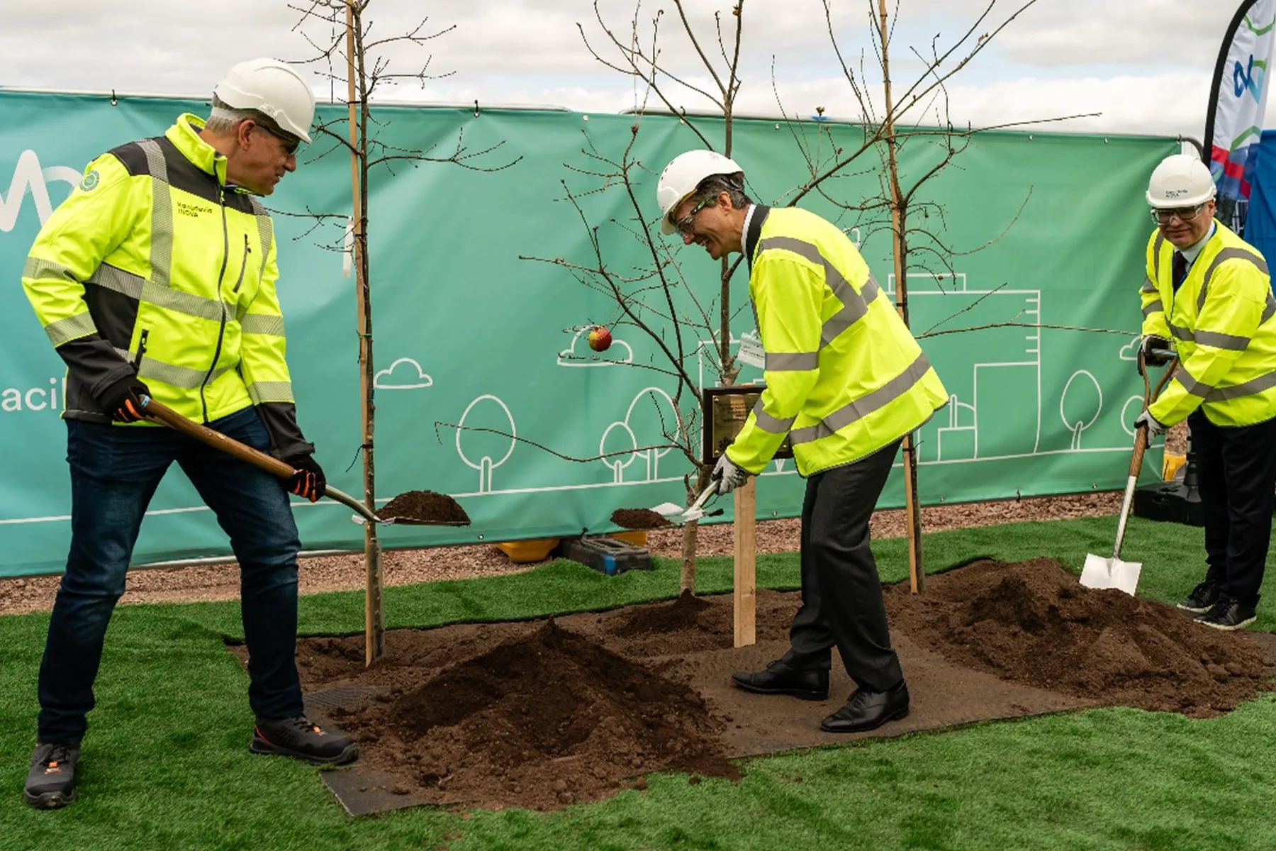 KVI Management planting trees