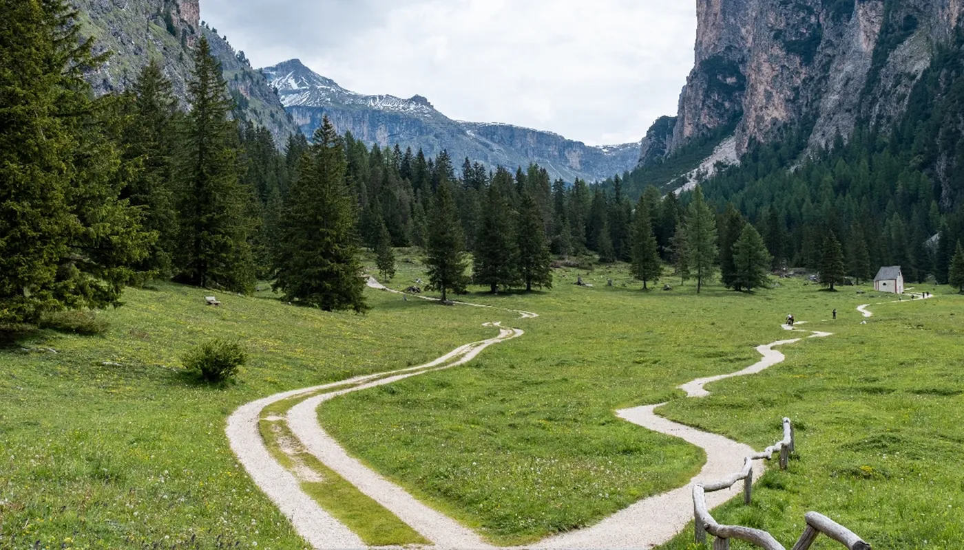 Two pathways in the nature inbetween the mountians.