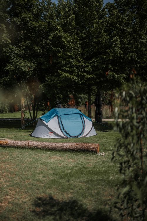 Auf einer Wiese, umgeben von üppig grünen Bäumen, steht ein blau-graues Zelt, vor dem ein großer Baumstamm liegt – eine friedliche Camping-Szene.