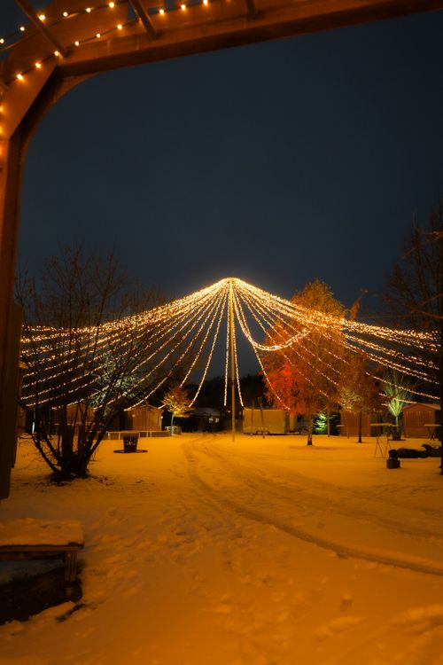 IKUNA Lichterwelt Winterdorf Ein schneebedecktes Winterdof bei Nacht, eingerahmt von einem eisenern Bogen, mit warmer Lichterkette, die von einem zentralen Punkt zwischen den Bäumen ausstrahlt; festliche, ruhige Stimmung in der IKUNA Lichterwelt.
