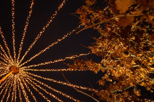 Warme, goldene Lichterketten strahlen von einem leuchtenden Mittelpunkt aus über den dunklen Himmel neben einem herbstlichen Baum und schaffen eine festliche, zauberhafte nächtliche Stimmung.