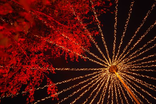 Festlich beleuchteter Baumkreis der IKUNA Lichterwelt in Natternbach – stimmungsvolles Highlight des Lichterpfads und beliebter Treffpunkt beim Weihnachtsmarkt.