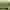 IKUNA_webheader_IKUNOvorPiratenburg