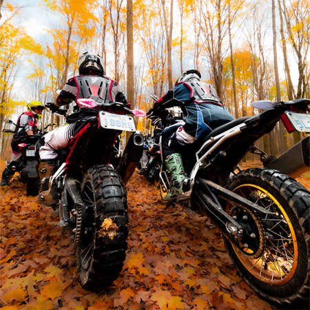 Motorcyclists in gear ride through a forest with colorful autumn leaves covering the ground, surrounded by tall trees.