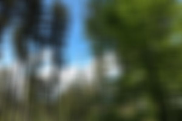 Windkraftanlage im Wald