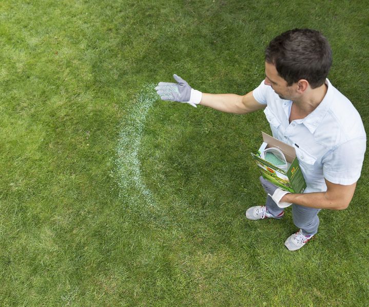 Rasensaat verteilen