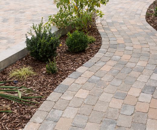Mehrfarbige Pflastersteine als geschwungener Gartenweg neben bepflanzten Beeten mit Rindenmulch