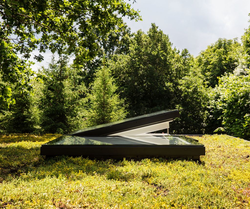 Dachbegrünung auf Flachdach mit Velux Flachdachfenster