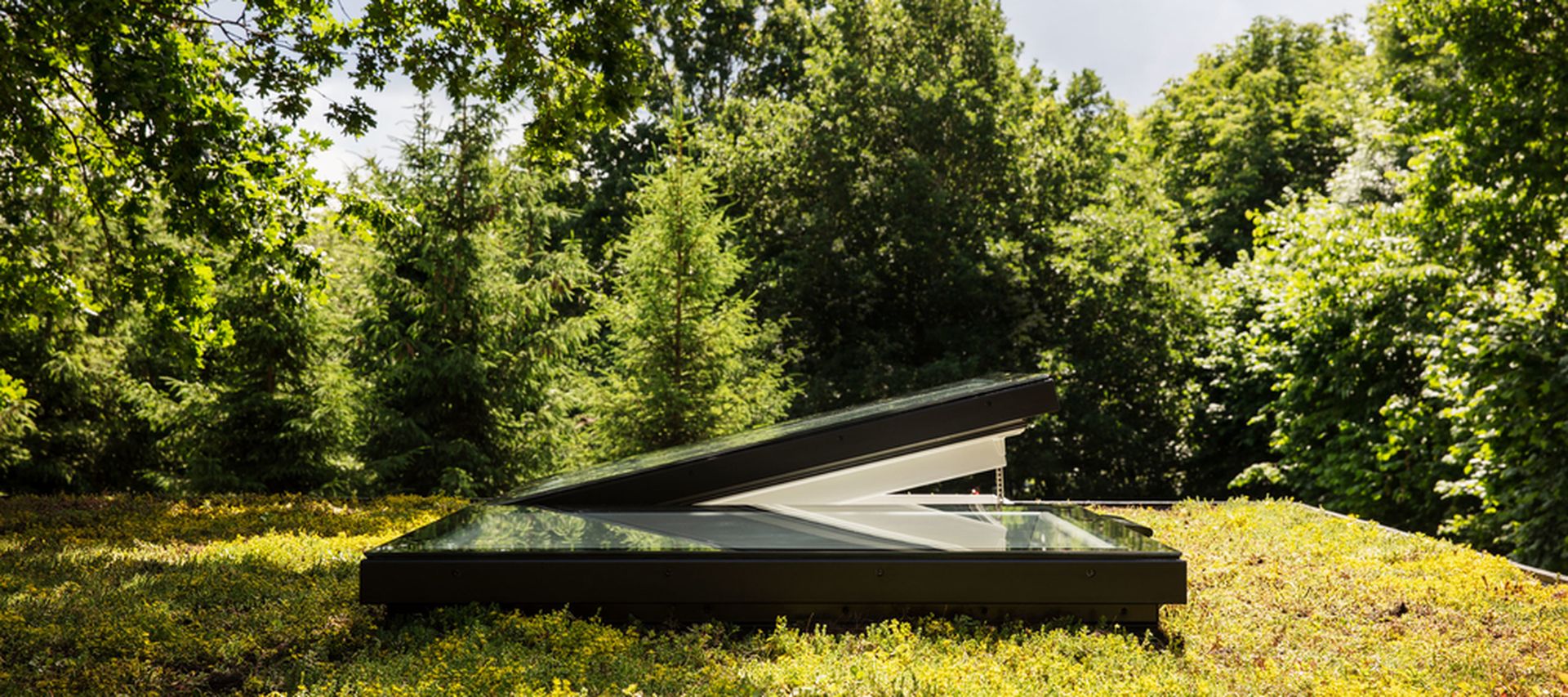 Dachbegrünung auf Flachdach mit Velux Flachdachfenster