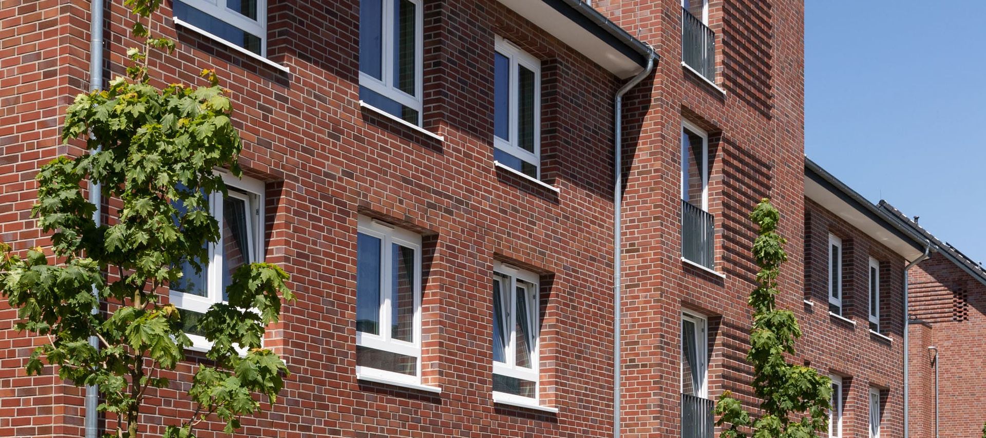 Einfamilienhaus mit Xline Verblender Kappeln von bauXpert in Bremen