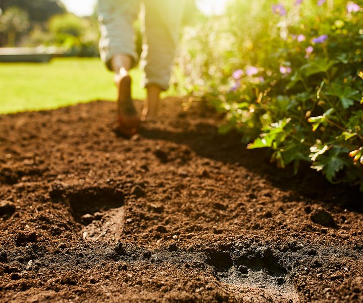 Barfuß gehende Person läuft über frisch gelockerte Gartenerde im Sonnenlicht