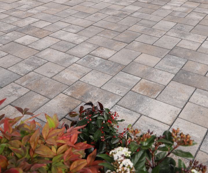Detailaufnahme von graubeigem Pflaster im Formatmix mit leicht nuancierter Oberfläche, im Vordergrund bepflanztes Beet.
