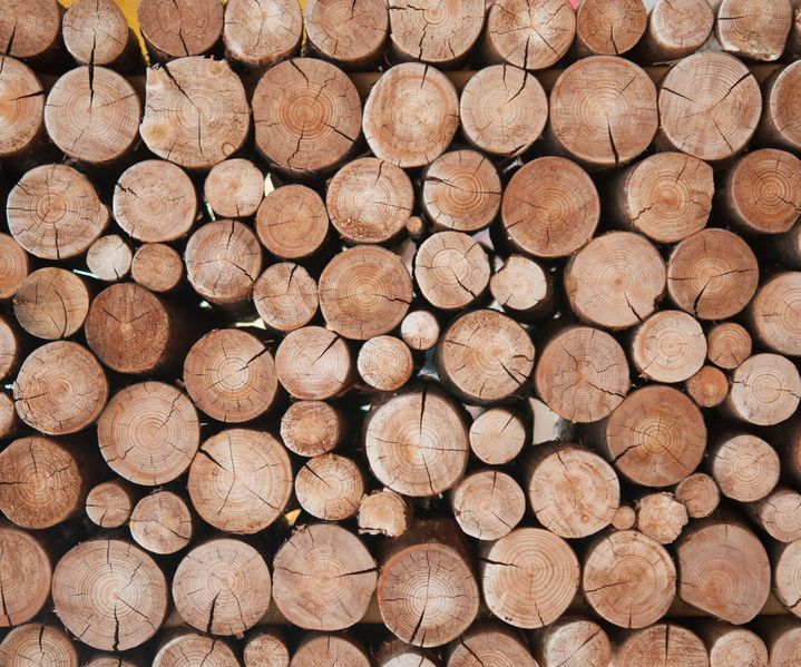 Gestapelte Rundhölzer mit sichtbaren Jahresringen