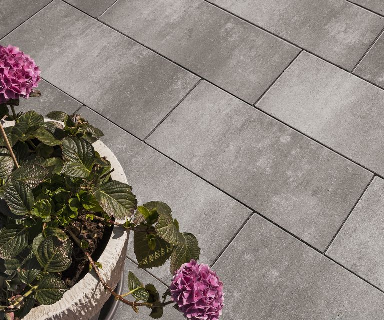 Graue Terrassenplatten im Format 30x60 cm, verlegt im Verband, daneben ein Pflanzkübel mit rosafarbener Hortensie.