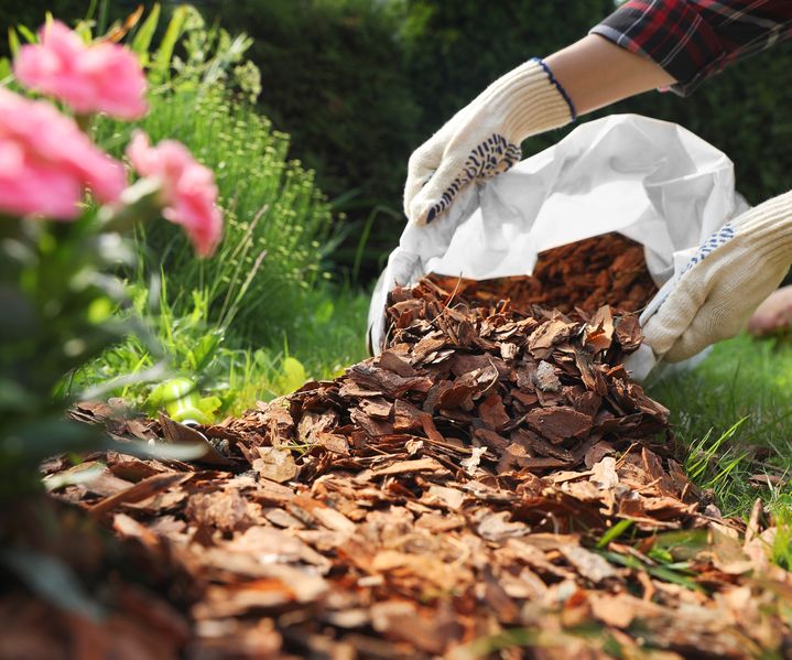 Gartenarbeit mit Handschuhen beim Ausbringen von Rindenmulch im Beet