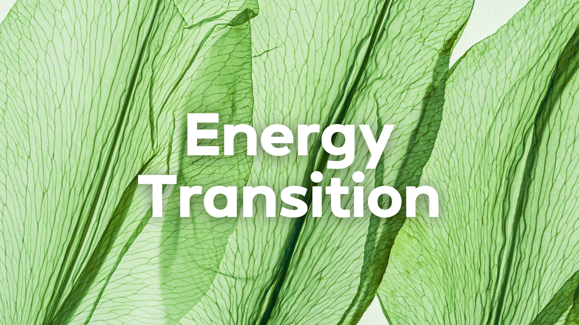 Energy Transition by De Nora