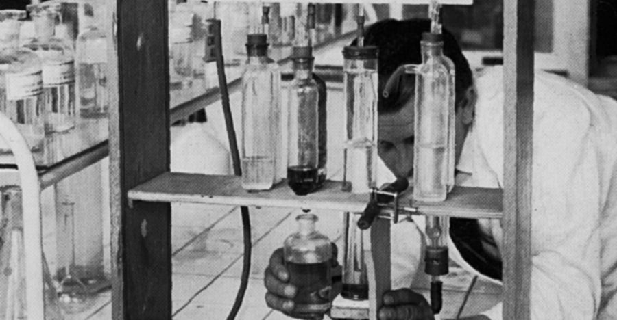 De Nora Research and Development Bipolar Diaphraglm cell Salt Chlorinators