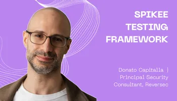 Spikee Testing Framework