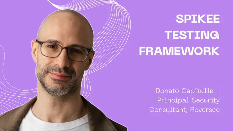 Spikee Testing Framework