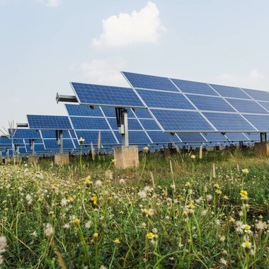 Ein Solarpark auf freiem Feld