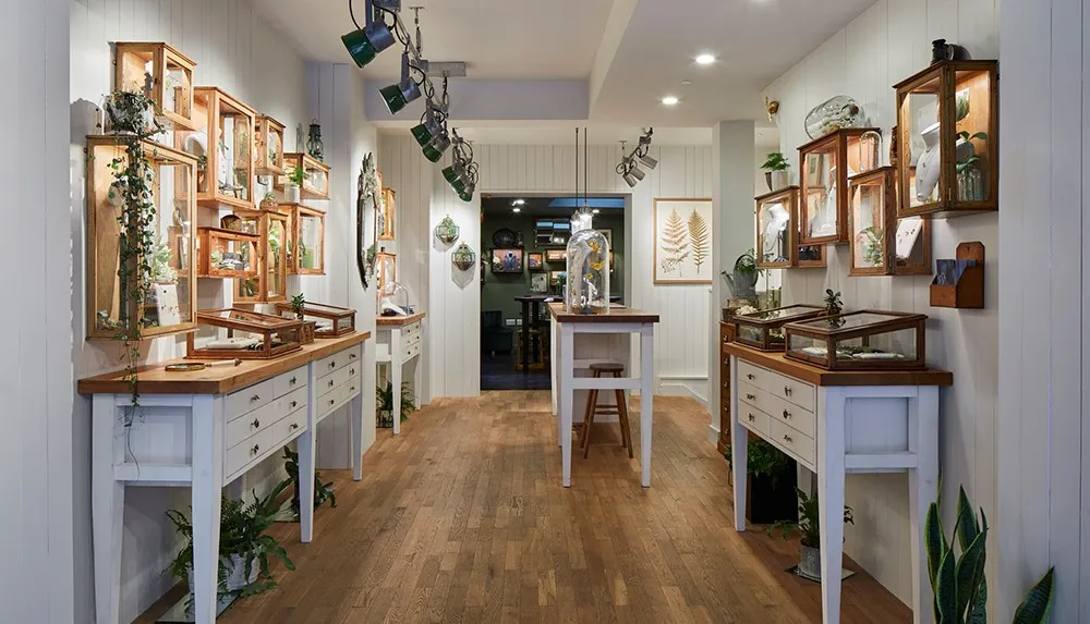 Alex Monroe Jewellery