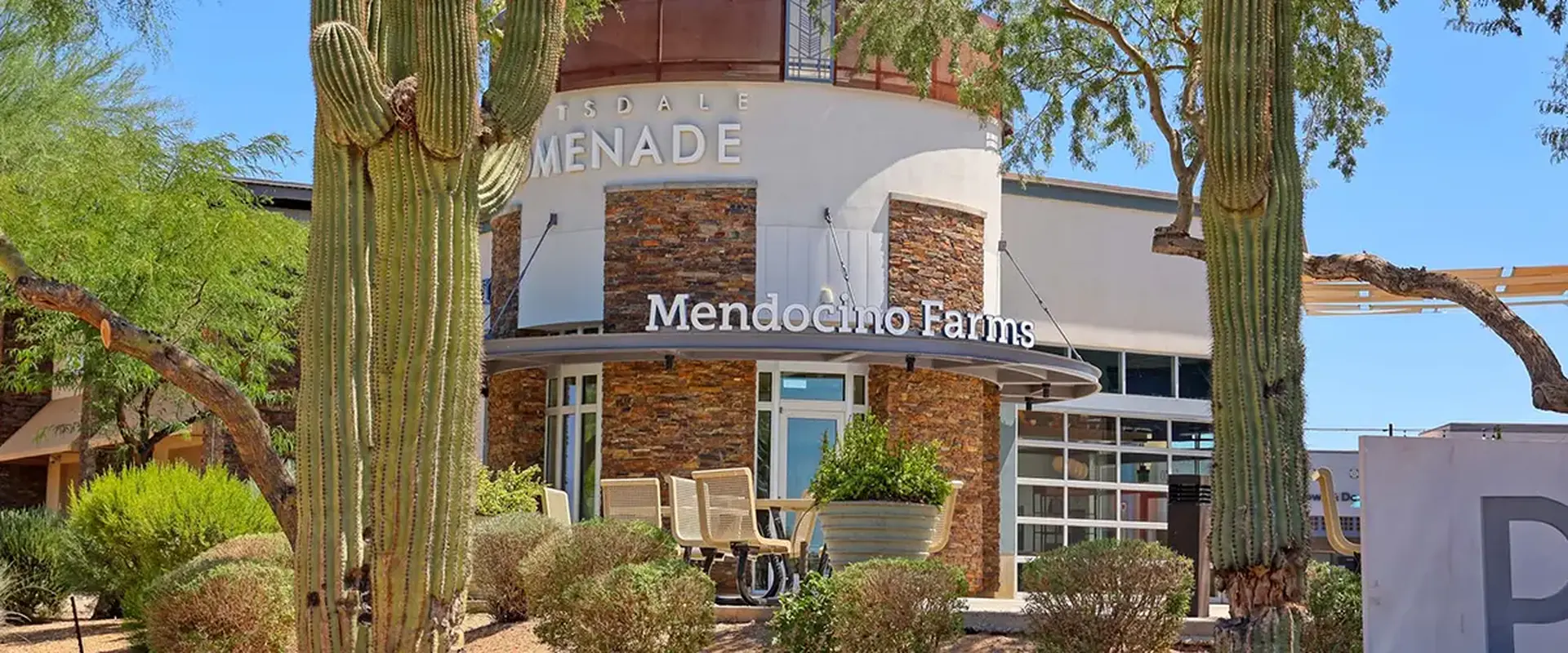 North Scottsdale photo 2