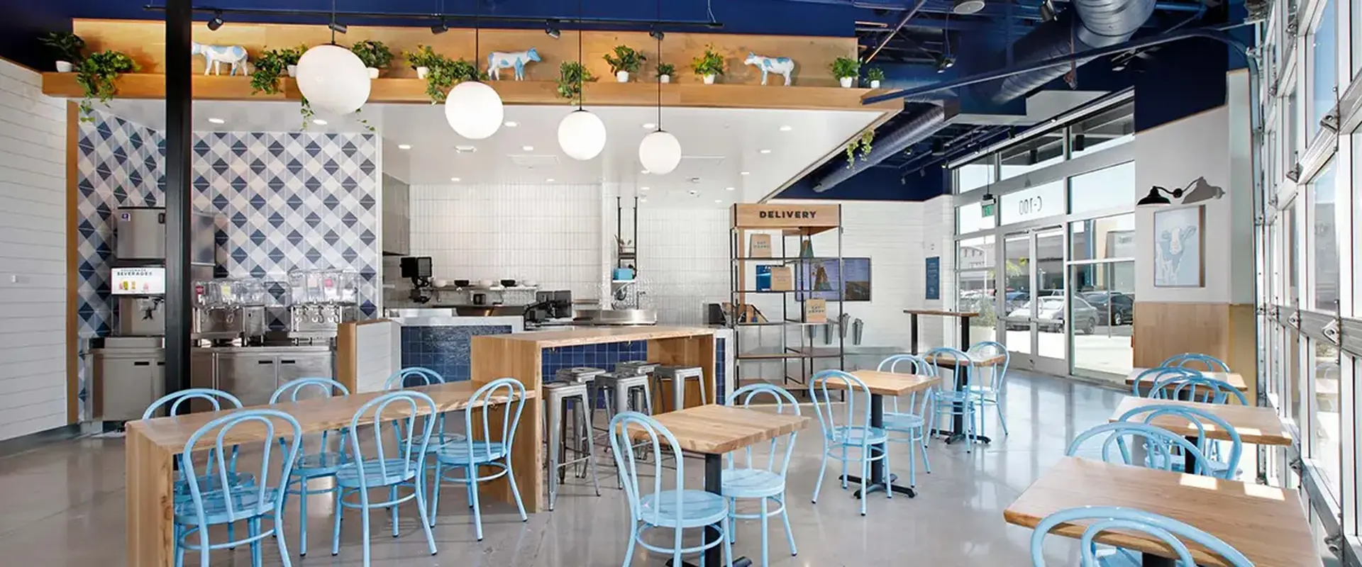 North Scottsdale photo 3