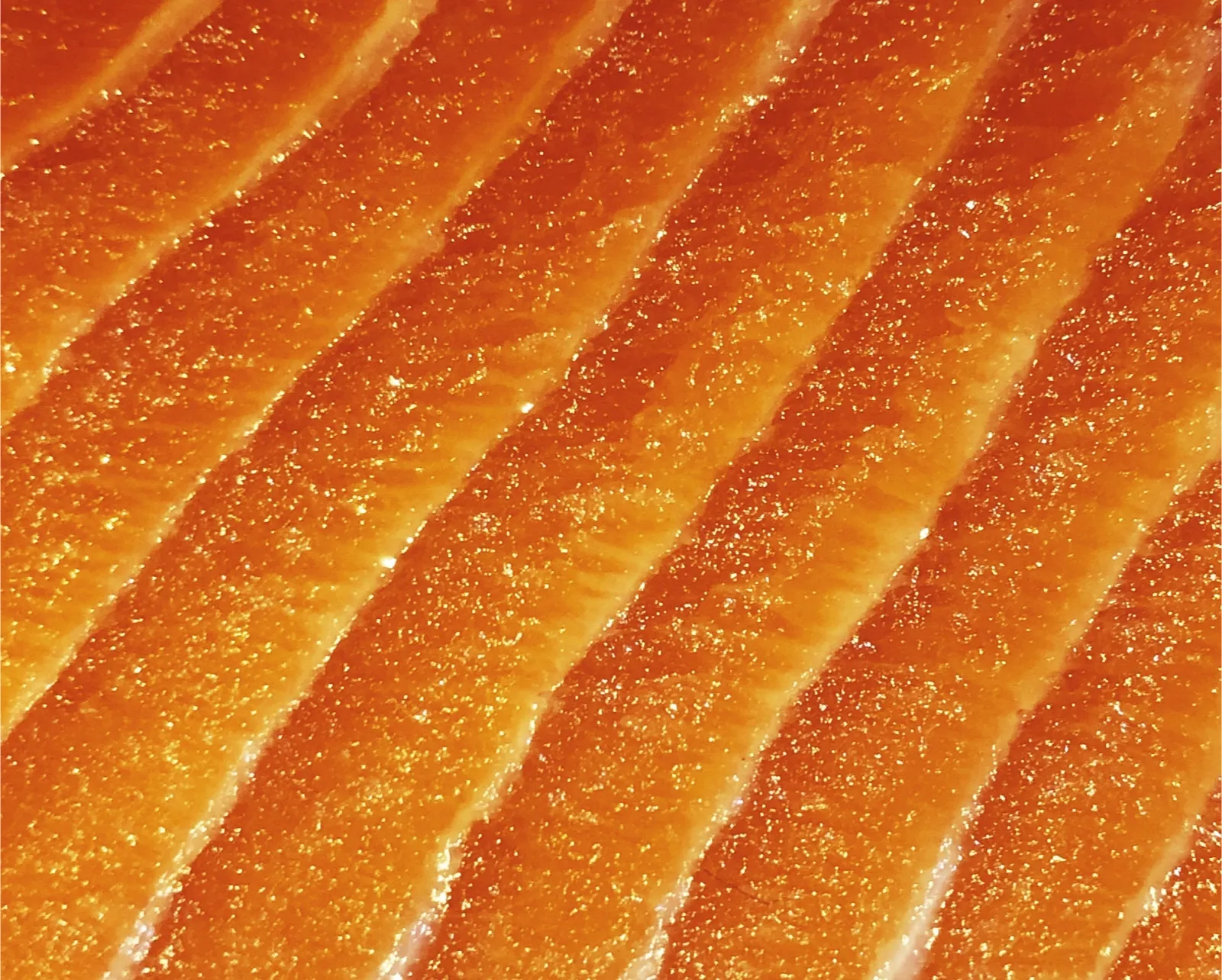 Carnitina e Omega 3: integratori per sportivi?