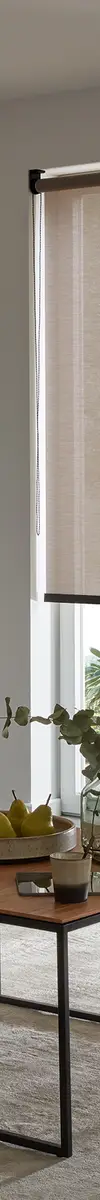 Das perfekte Rollo für dein Zuhause